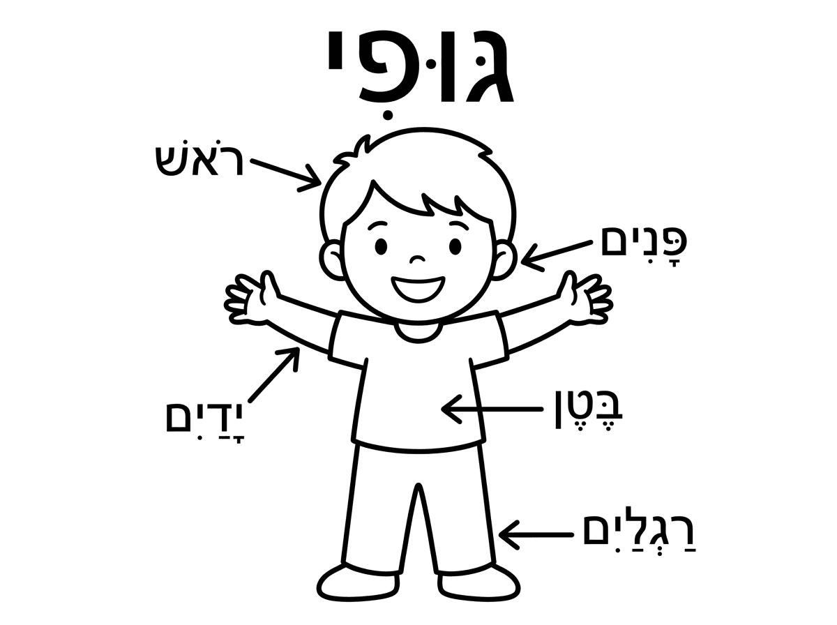 היכרות עם הגוף שלי בעברית