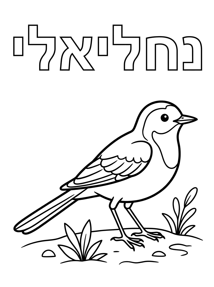 צור דף צביעה  לילדי גן,לאורך.כתוב למעלה את המילה :" נחליאלי" באותיות חלולות בגודל בינוני.במרכז ציור של נחליאלי.ברור ומותאם לצביעה