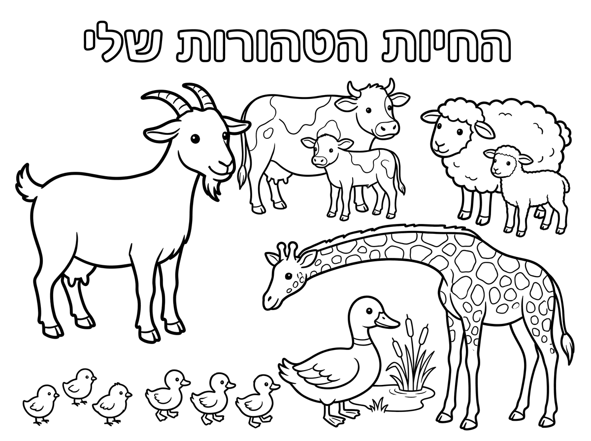 תוסיף ברווזים ואפרוחים קטנים למטה, תוציא את החמור, זה חיה טמאה.  יש לעיזה 2 גופים וראש אחד, נא לתקן. תכתוב למעלה "החיות הטהורות שלי"