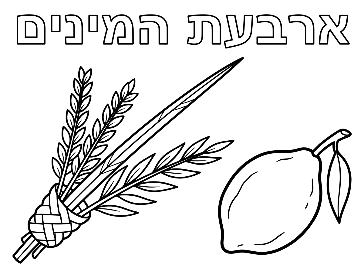 אשמח לדפי צביעה:
1 - ארבעת המינים באותיות חלולות
2 - חג סוכות אותיות חלולות ומסגרת לדף עם עיגולים להדבקת דבקיות.
3 - סוכה ואבא שמברך על ארבעת המינים
4 - מנדלה עם ארבעת המינים