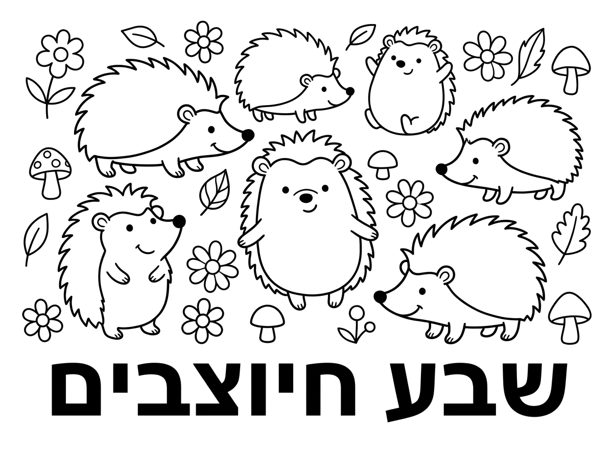 צייר לי דף שרשום עליו שבע חיוצבים.