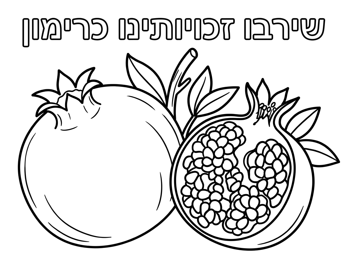 תיצור לי דף של רימון שיהיה רשום למעלה שירבו זכויותינו כרימון , רימון אחד פתוח שרואים בו את הגרעינים ורימון אחד סגור שלם