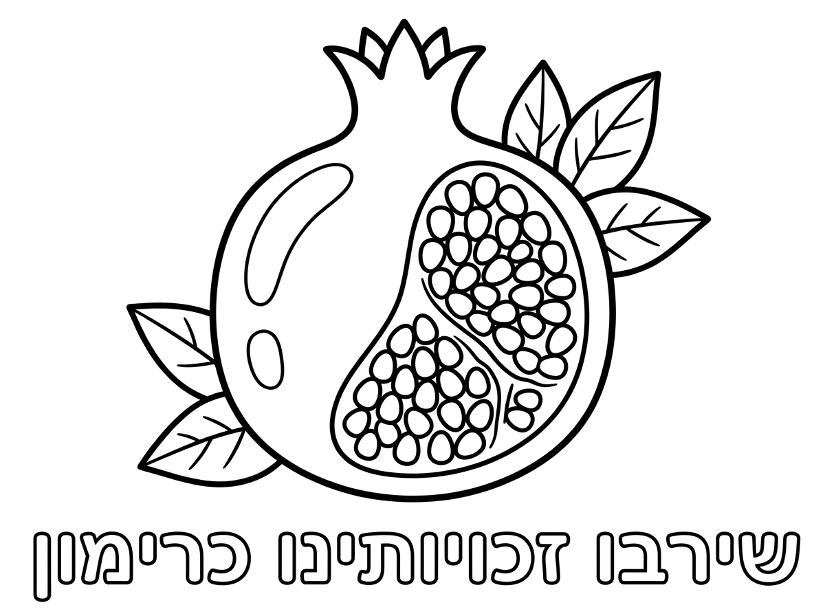 תכין לי דף צביעה של רימון שירבו זכויותינו כרימון